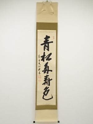大徳寺尾関桃林筆　「青松多寿色」一行書　肉筆紙本掛軸（共箱）
